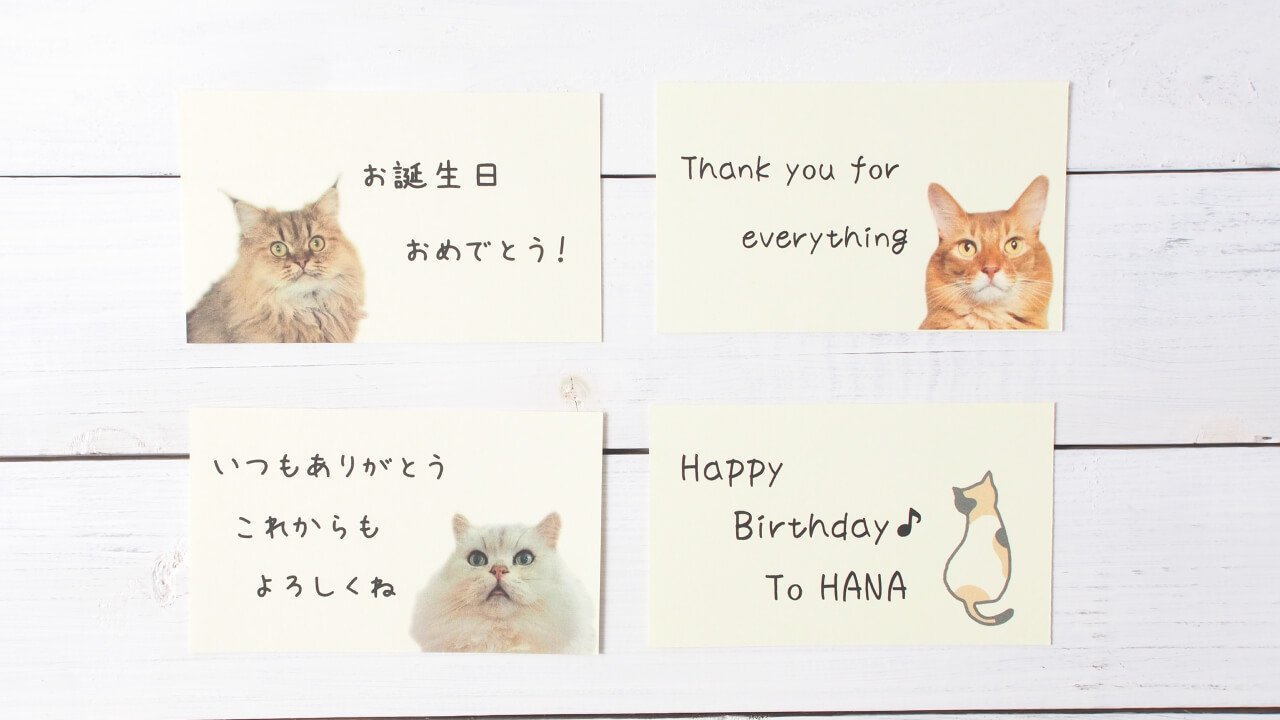 お家のネコちゃんのお写真でお作りする無料のメッセージカード